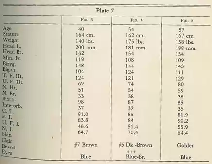 Plate 7